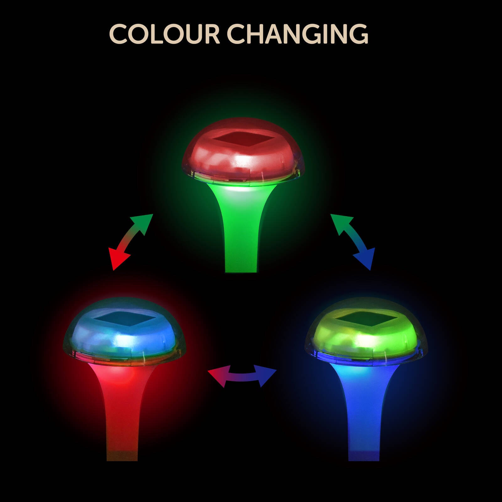 0269706-Additional Image_1769569612014