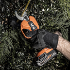 0302900-Additional Image_1733181085903