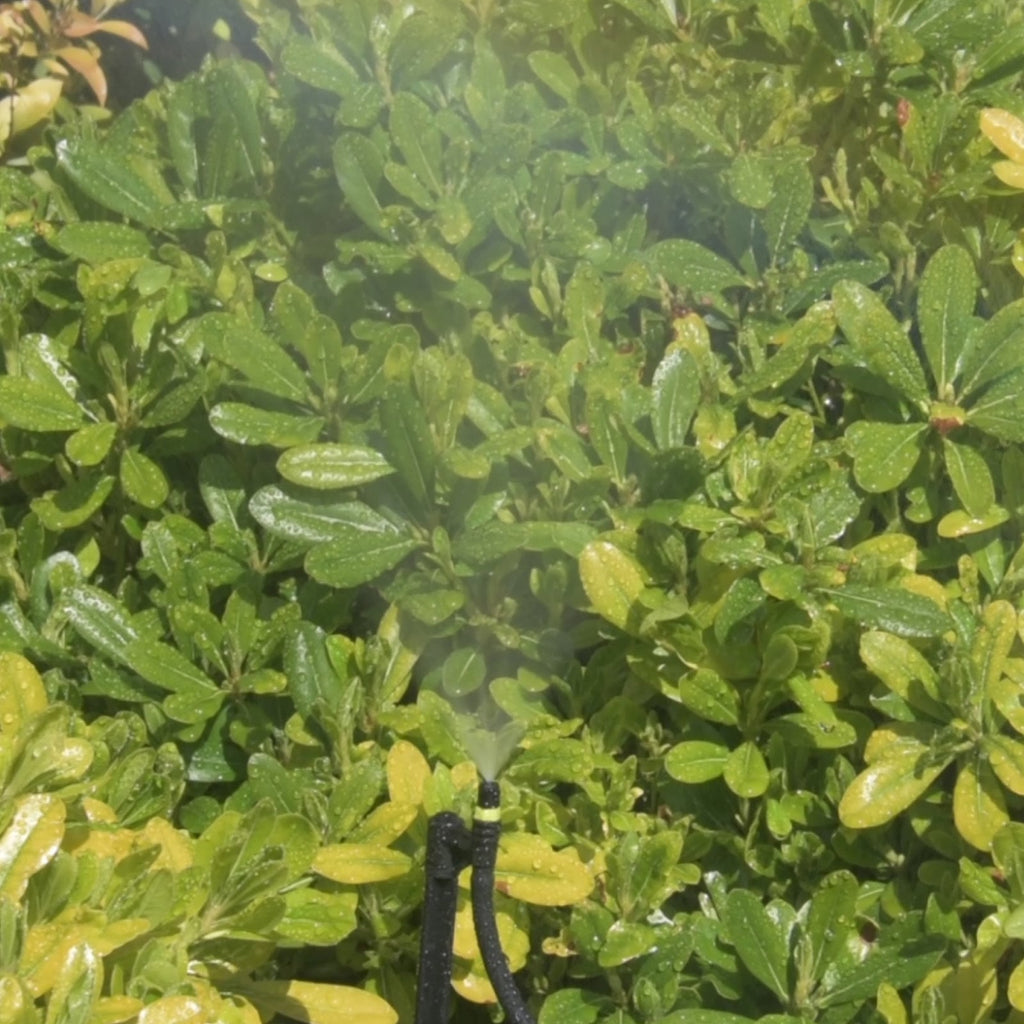 Pope Micro Jet Mist Spray - 10 Pack - Image 4 of 4
