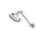 Caroma Chrome Luna Adjustable Shower and Arm - Image 1 of 4