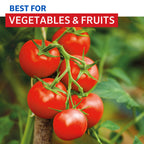 0118954-Additional Image_1728027160067