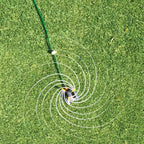 0131807-Additional Image_1711088652722