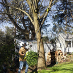 0637284-Additional Image_1760403912573