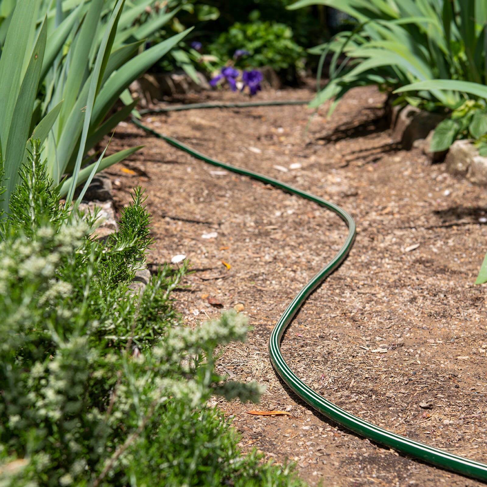 Pope 12mm x 5m Legacy Unfitted Garden Hose - Image 4 of 5