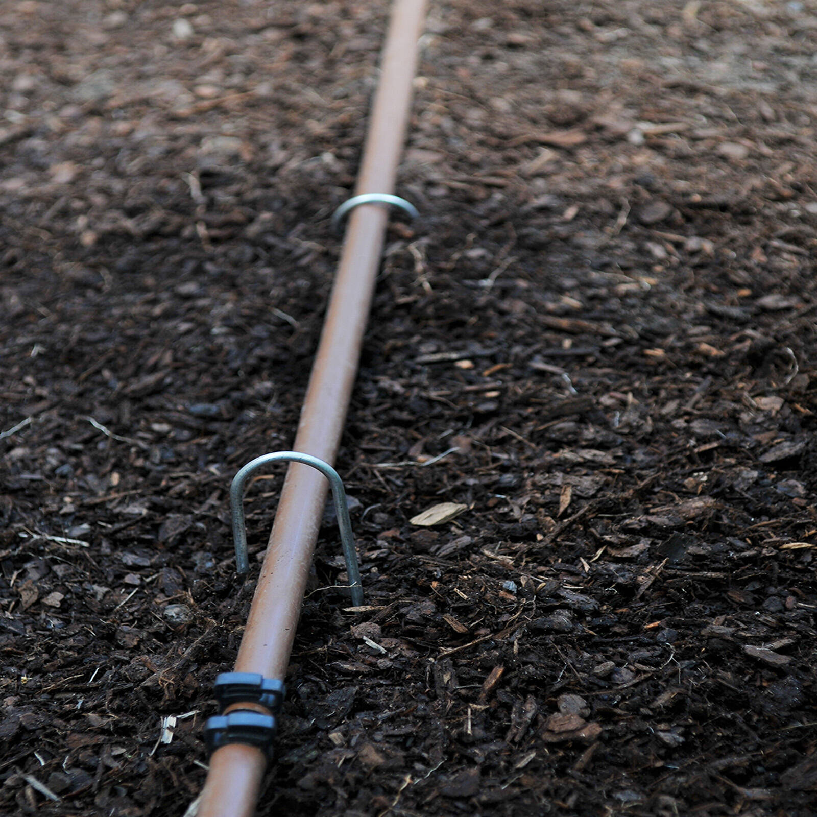 Jack Heavy Duty Pins - 10 Pack - Image 3 of 4