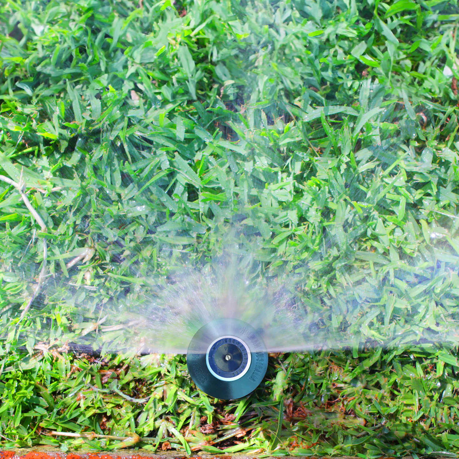 Holman 50mm Fixed Pop Up Sprinkler Half Spray - Image 4 of 4