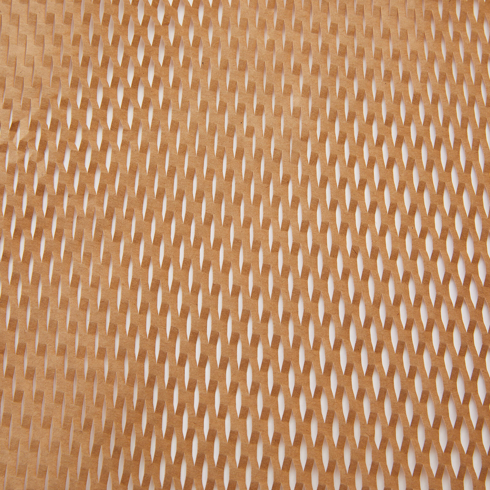 0254423-Additional Image_1726453409107