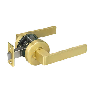 Delf Satin Brass Barcelona Privacy Lever Set