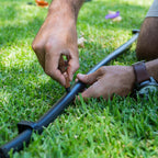 0035966-Additional Image_1675927647990