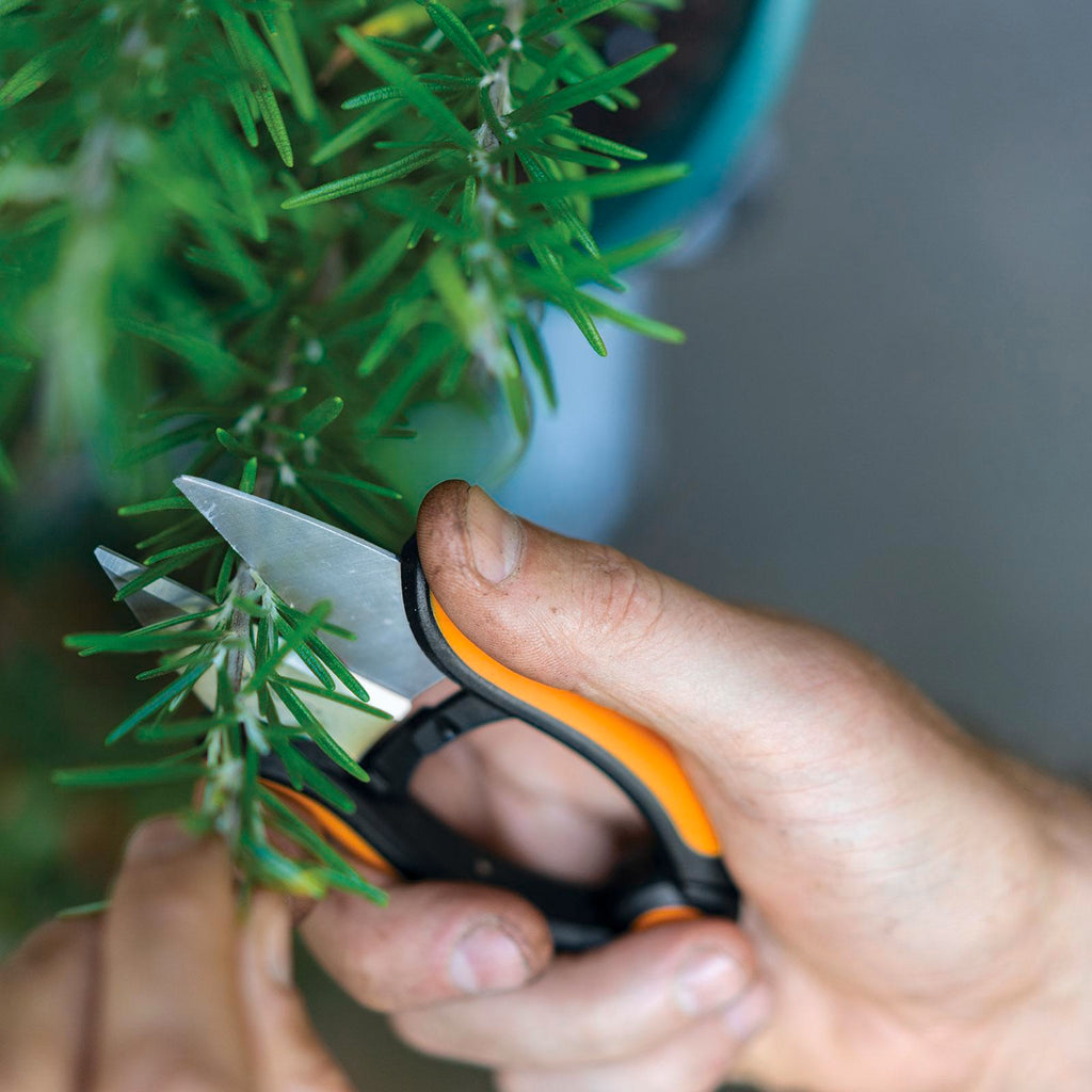 Fiskars Herb Garden Snip - Image 3 of 4