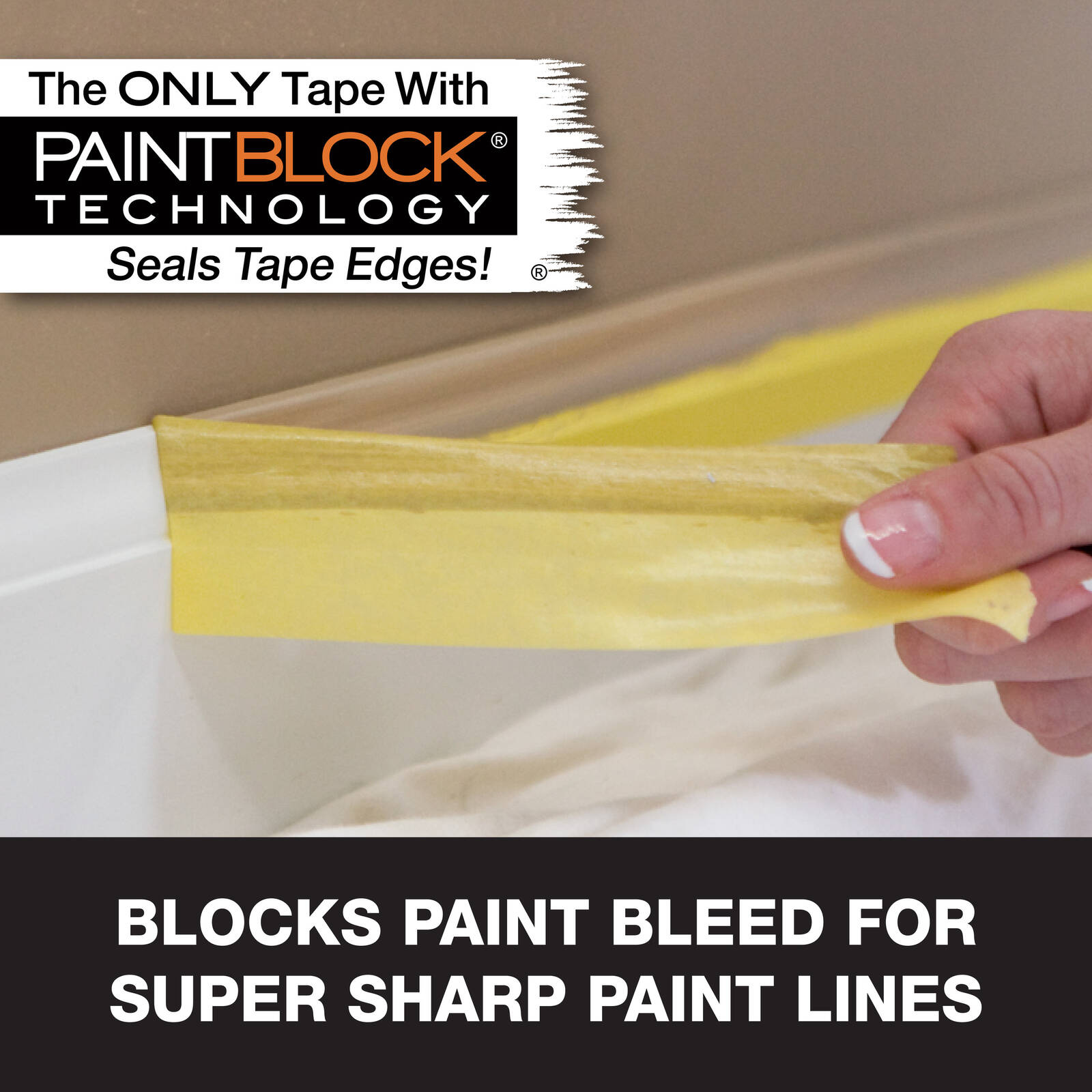0088299-Additional Image_1778609133375