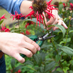 Cyclone Pruner Floral Snips - Image 2 of 3