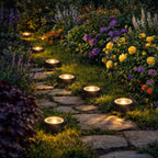 0269691-Additional Image_1768533075313