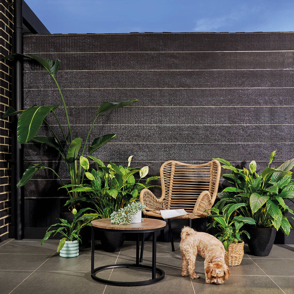 0471730-Additional Image_1728090021628
