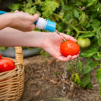 0812449-Additional Image_1765759442337