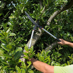 0242932-Additional Image_1670375200148