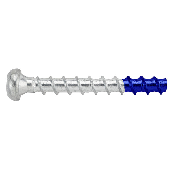 DeWALT 6 x 40mm Blue Tip Zinc Pan Screw Bolt - 50 Pack