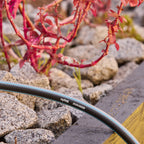 Nylex 30m x 12mm Duratech Garden Hose - Image 4 of 6