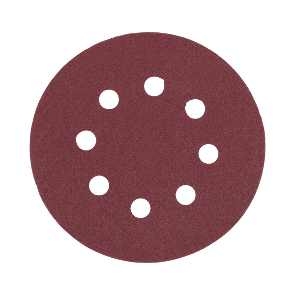 Craftright 125mm Hook And Loop Sanding Discs - 10 Pack
