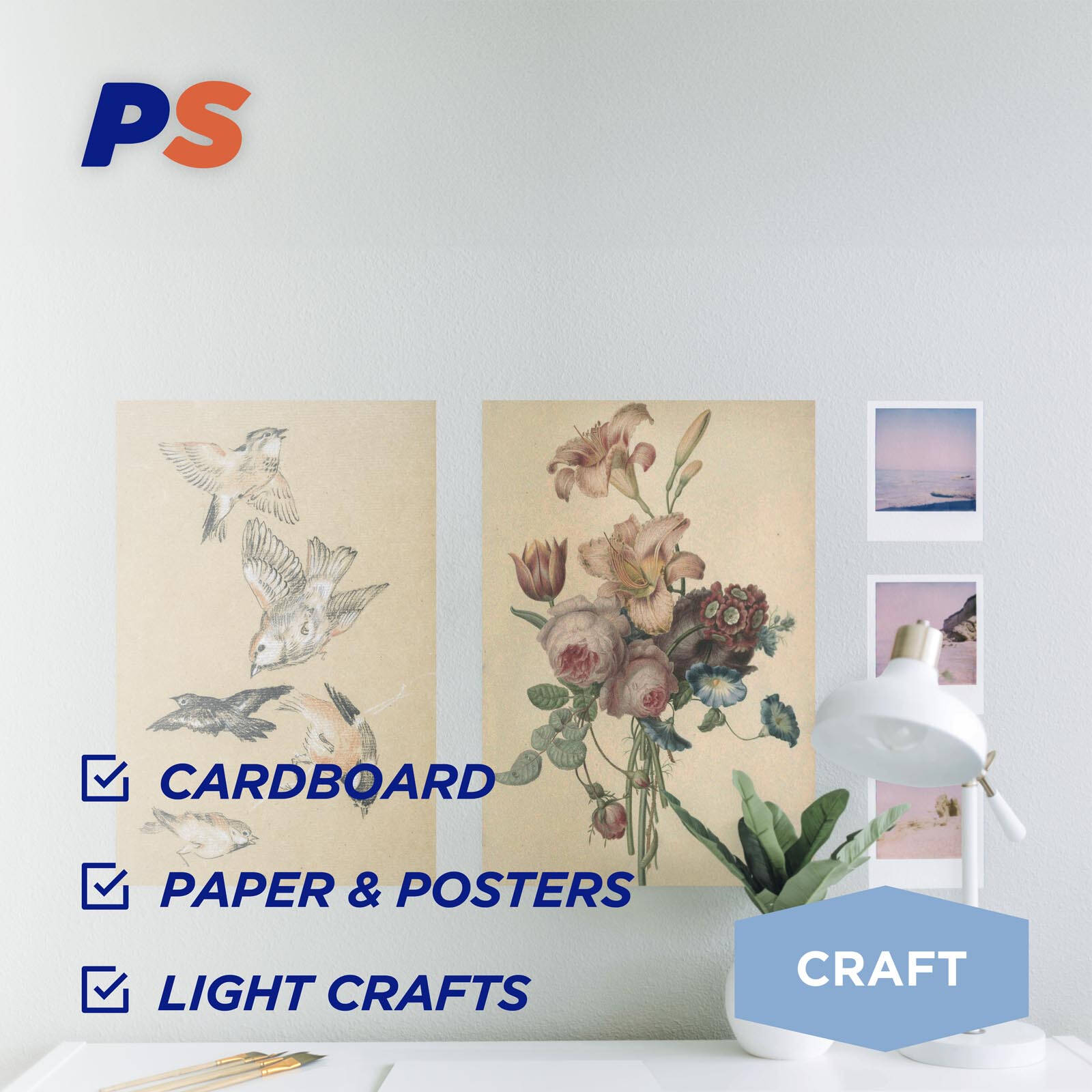 0045258-Additional Image_1730692693879