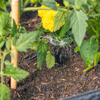 3120586-AdditionalImage4.png-Additional Images-1