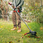 0746258-Additional Image_1748567559638