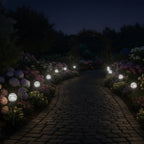 0180310-Additional Image_1770368957986