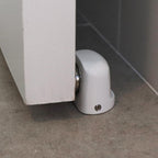 T0808_insitu.jpg