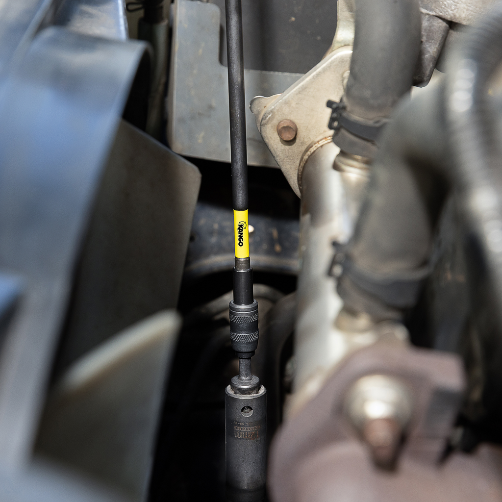 0582387-Additional Image_1758187927764
