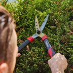 0242140-Additional Image_1719373076113