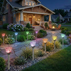 0180334-Additional Image_1772769540607