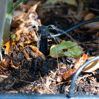 0131051-Additional Image_1672815625906