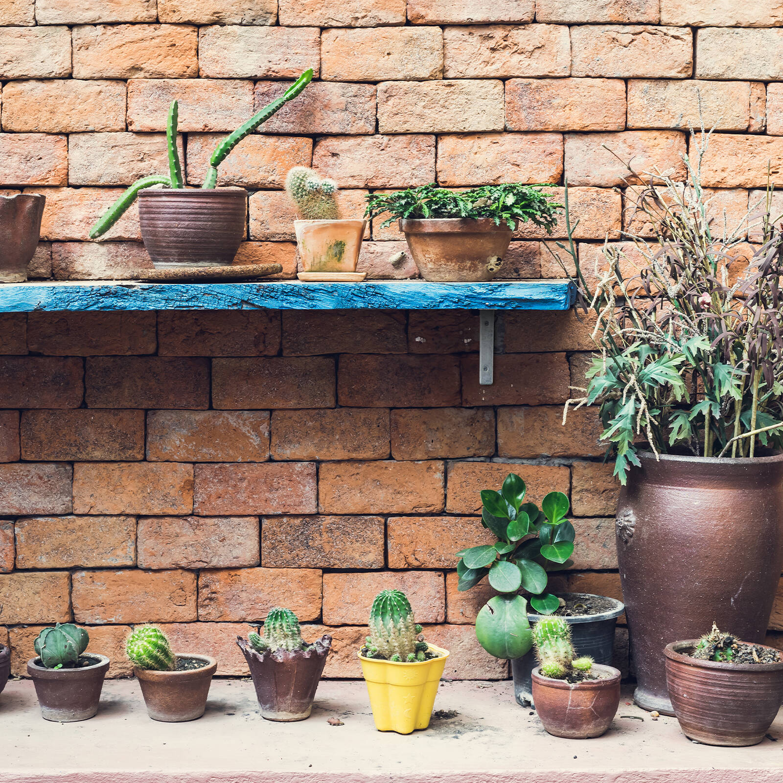 0116586-Additional Image_1739513848486