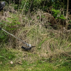 0755935-Additional Image_1756861516175