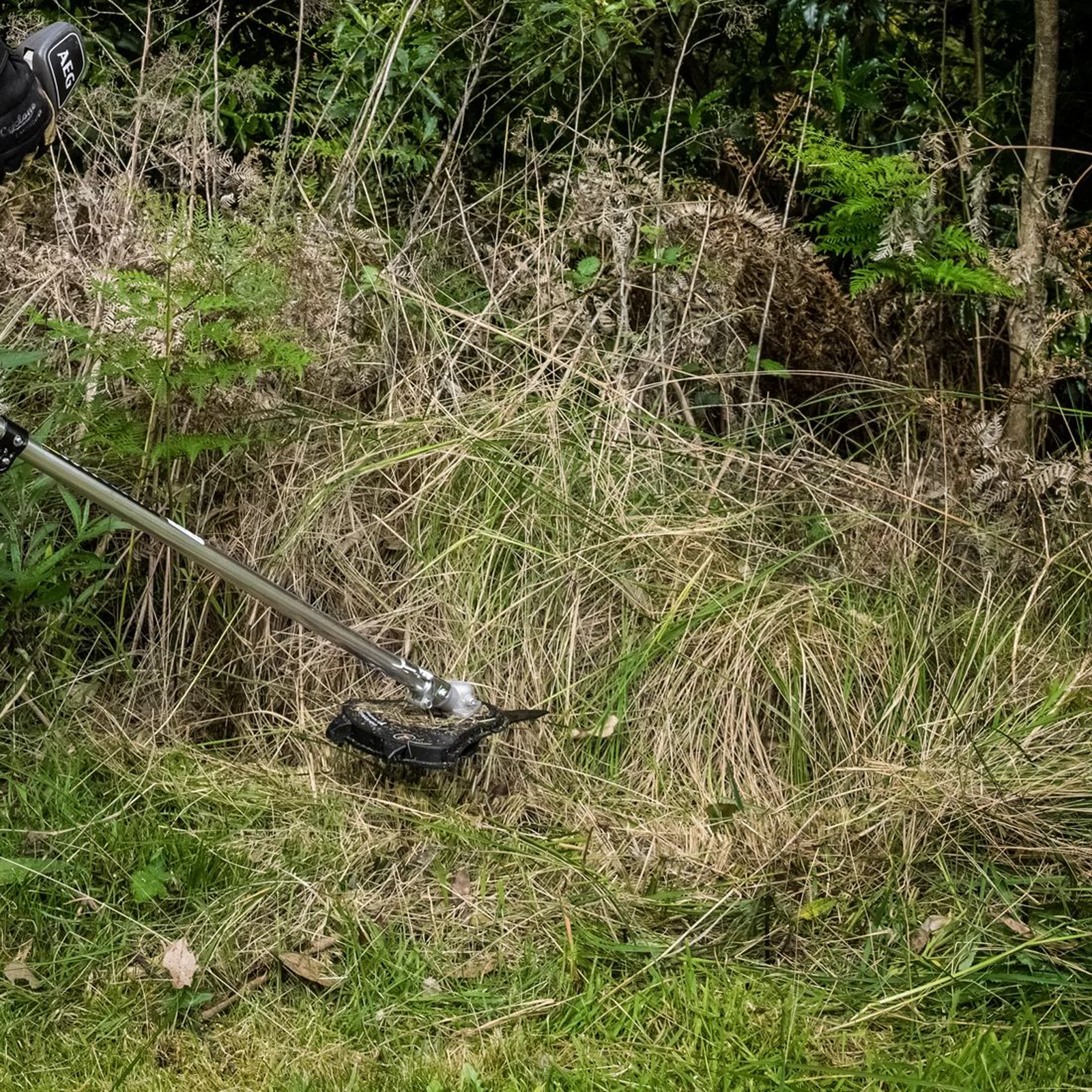 0755935-Additional Image_1756861516175