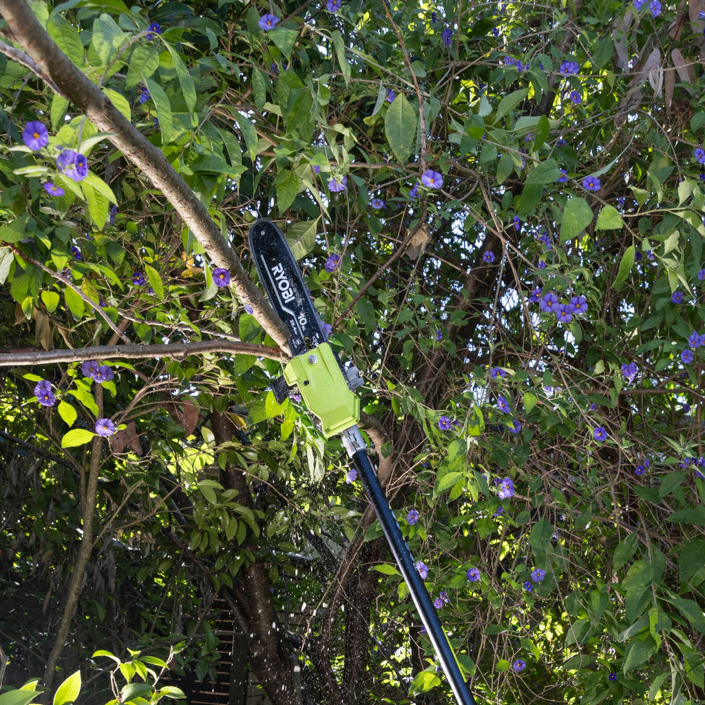 0606515-Additional Image_1764723944268