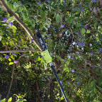 0606515-Additional Image_1764723944268