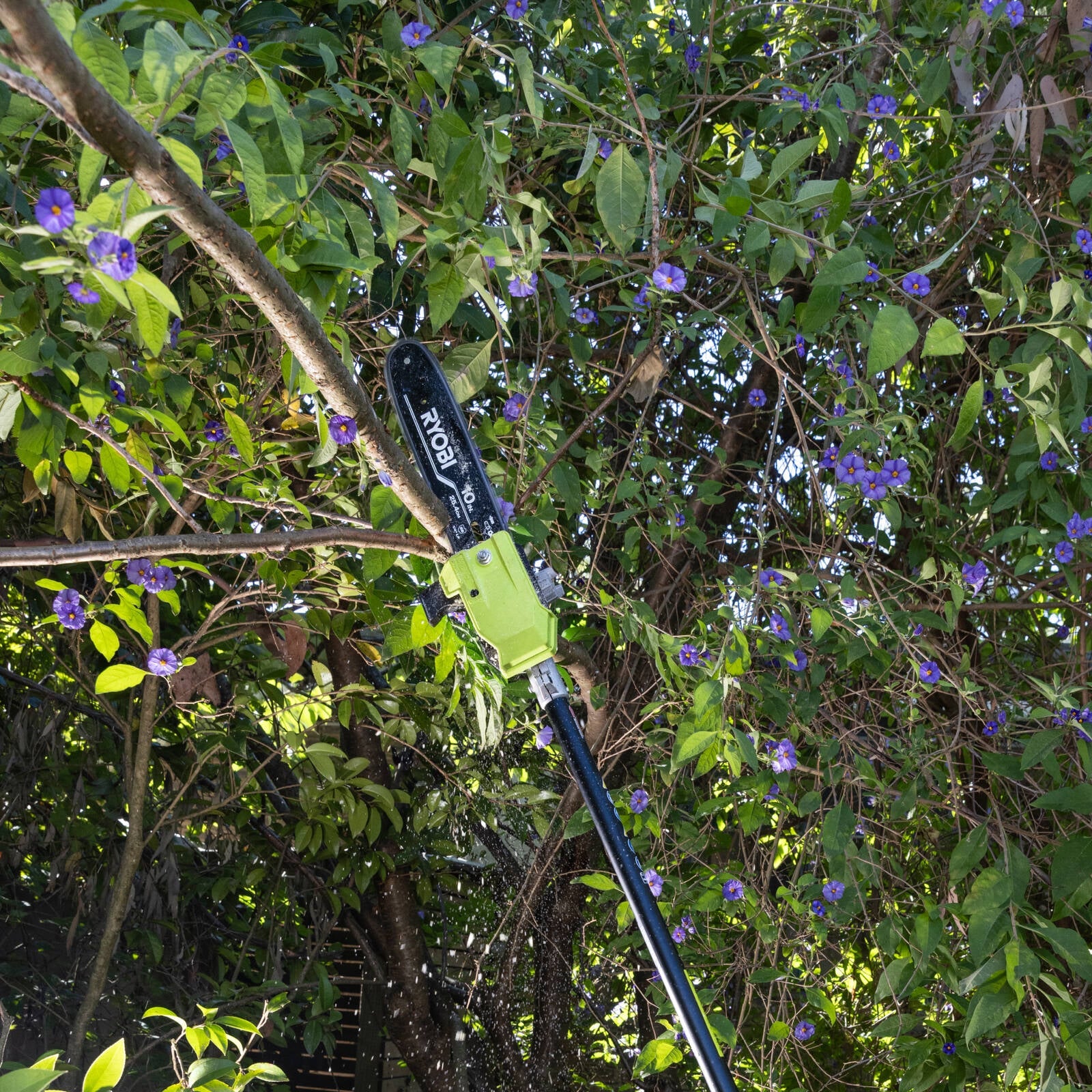 0606515-Additional Image_1764723944268