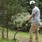 2970745-Additional Image_1767858375598