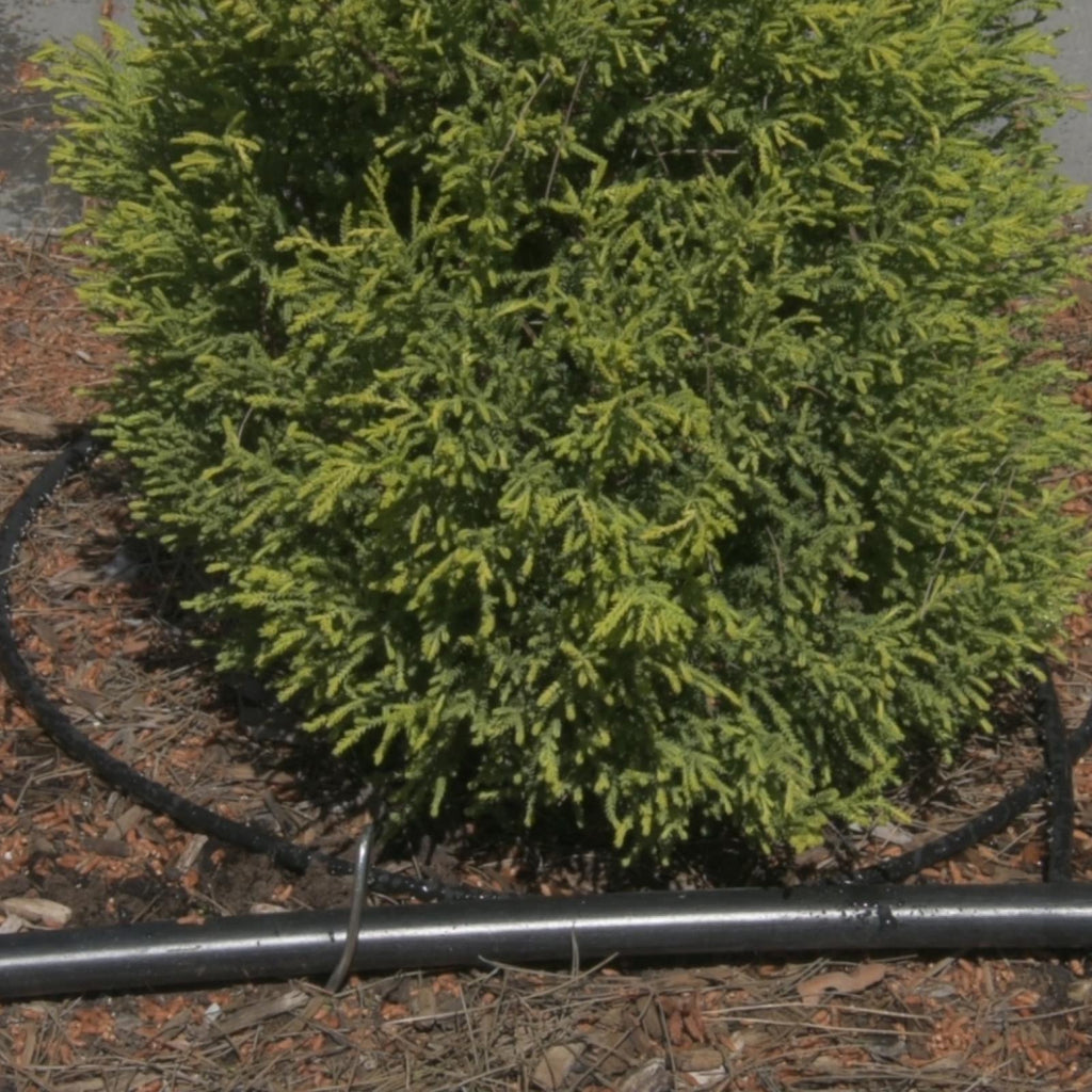 Pope 15m Micro Water Weeper Soaker Hose - Image 3 of 5