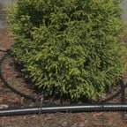 Pope 15m Micro Water Weeper Soaker Hose - Image 3 of 5