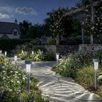 0263567-Additional Image_1769572685075