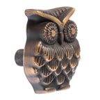 Lane 37mm Cabinet Brass Owl Knob - Image 1 of 2