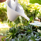 Holman 2L Frost Eco Watering Can - Image 3 of 5
