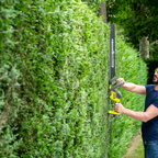 0564002-Additional Image_1760075651153