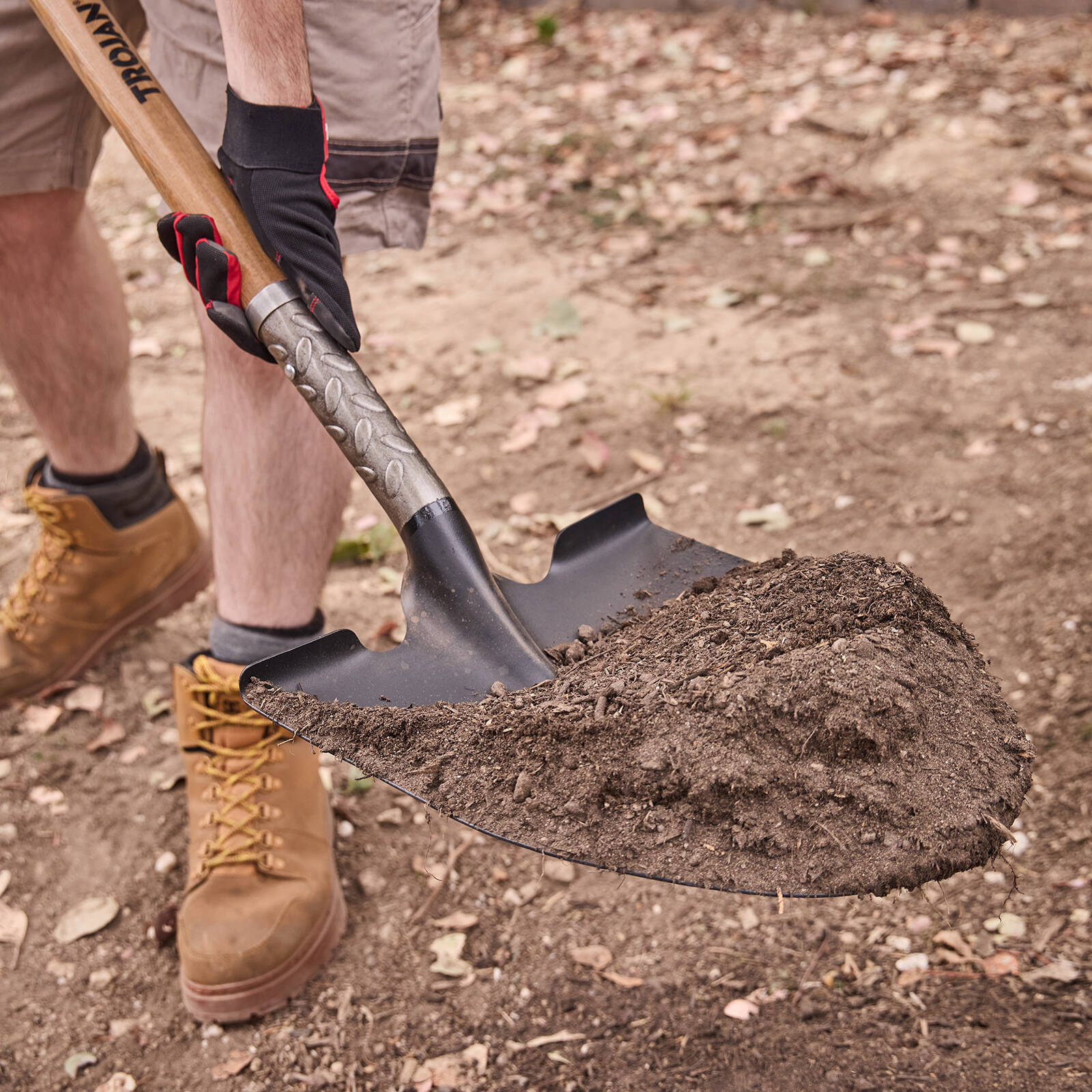 0684994-Additional Image_1738735755041