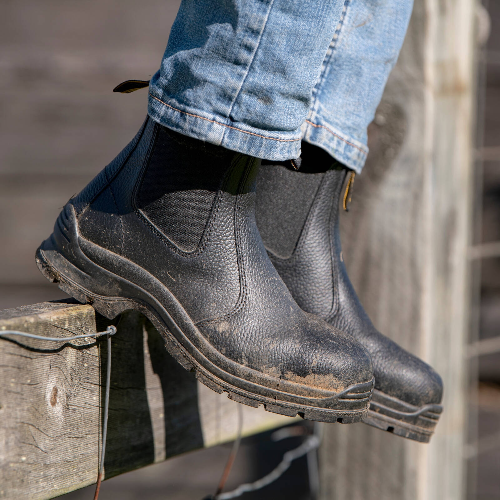 Blundstone Unisex Black #310 Elastic Side Safety Boot - UK Size 12 - Image 2 of 7