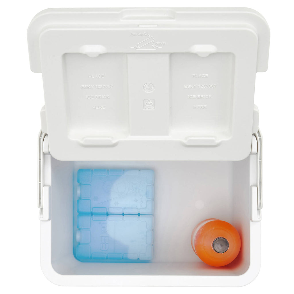 0138506-Additional Image_1721006416285