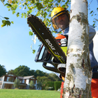 RYOBI 18V ONE+ HP™ Brushless 12"(304mm) Chainsaw 4Ah Kit - Image 5 of 9