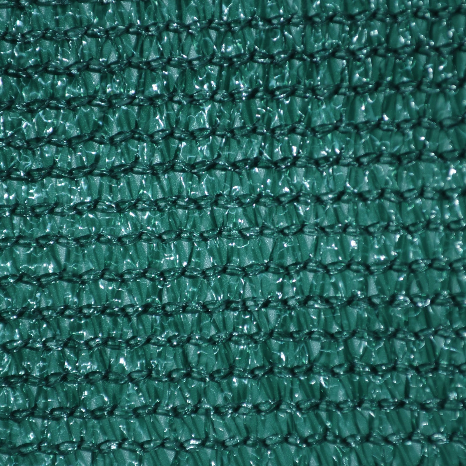 0459515-Additional Image_1692943737760